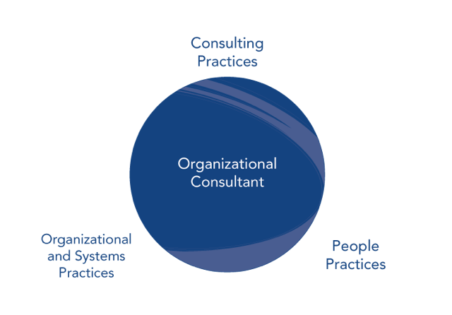 Organizational Consultant